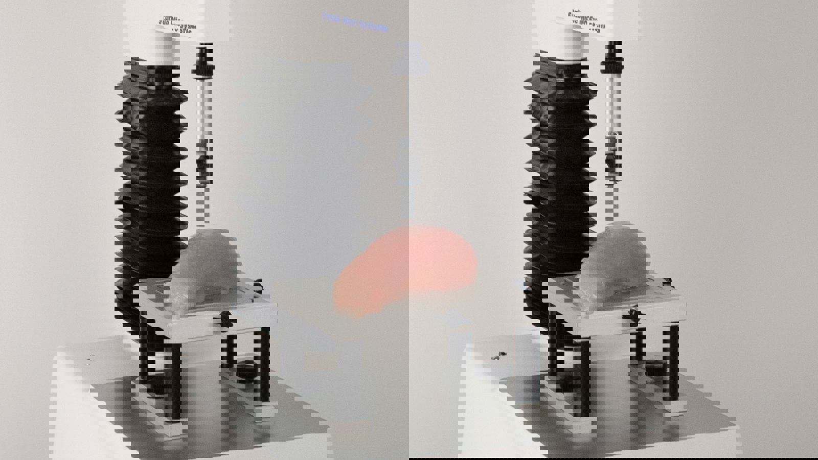 Meullenet-Owens Razor Shear Blade testing chicken breast