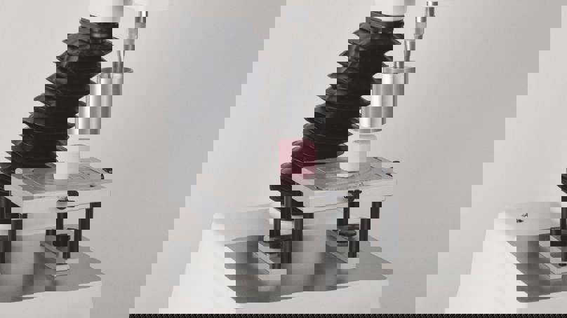 50 50Mm Cylinder Probe Marshmallow