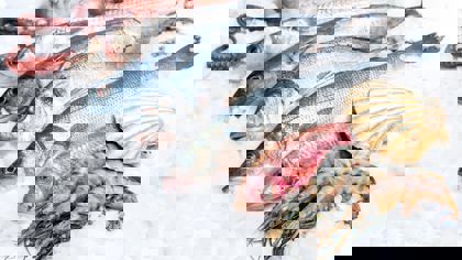 Fish products: The application of texture analysis on the latest developments