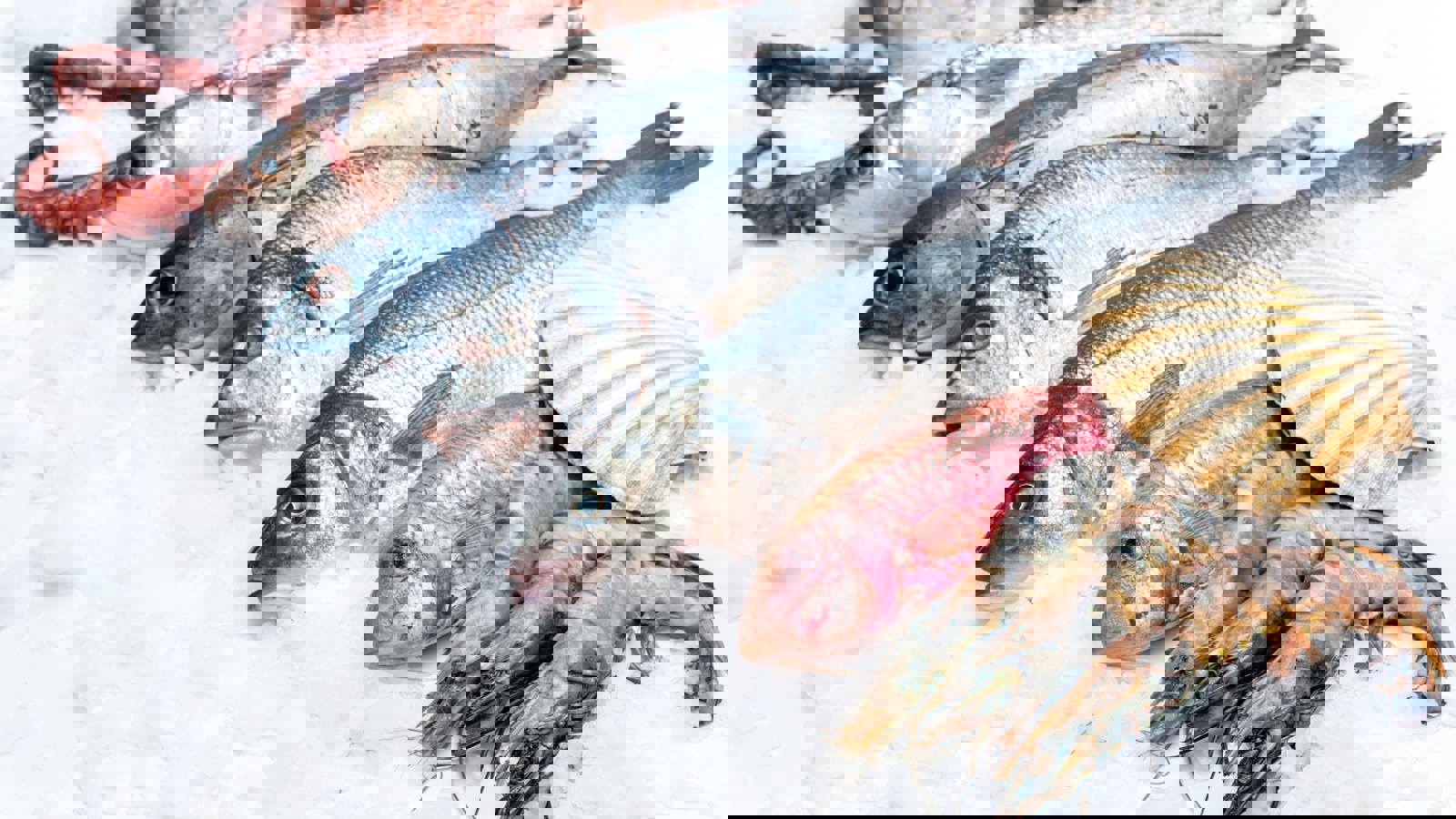 Fresh fish and seafood on ice