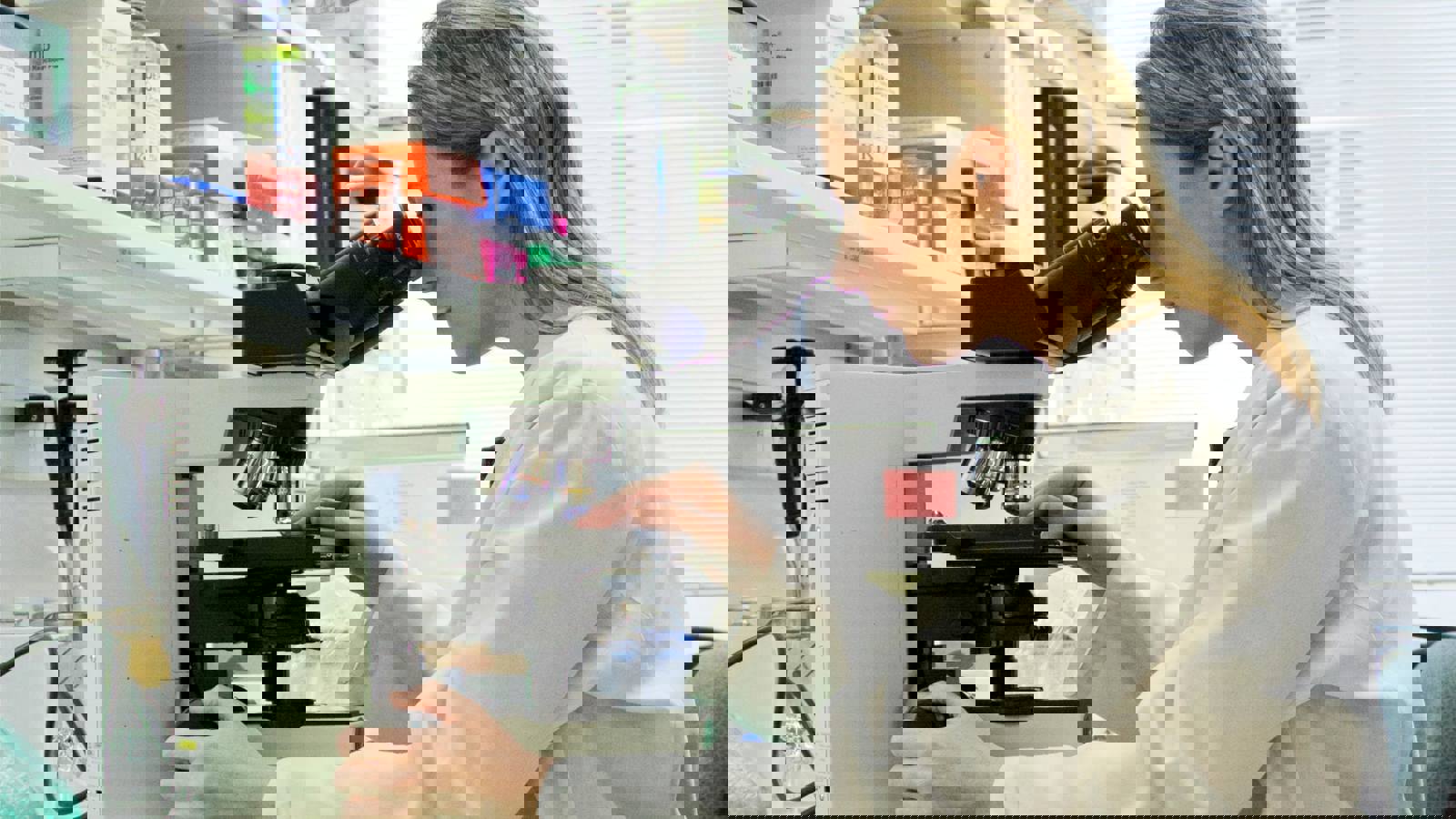 Female scientist in laboratory using microscope