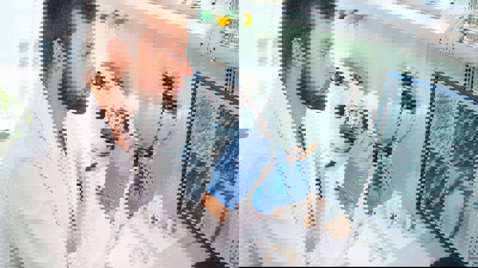 Scientist examining fragment of bone