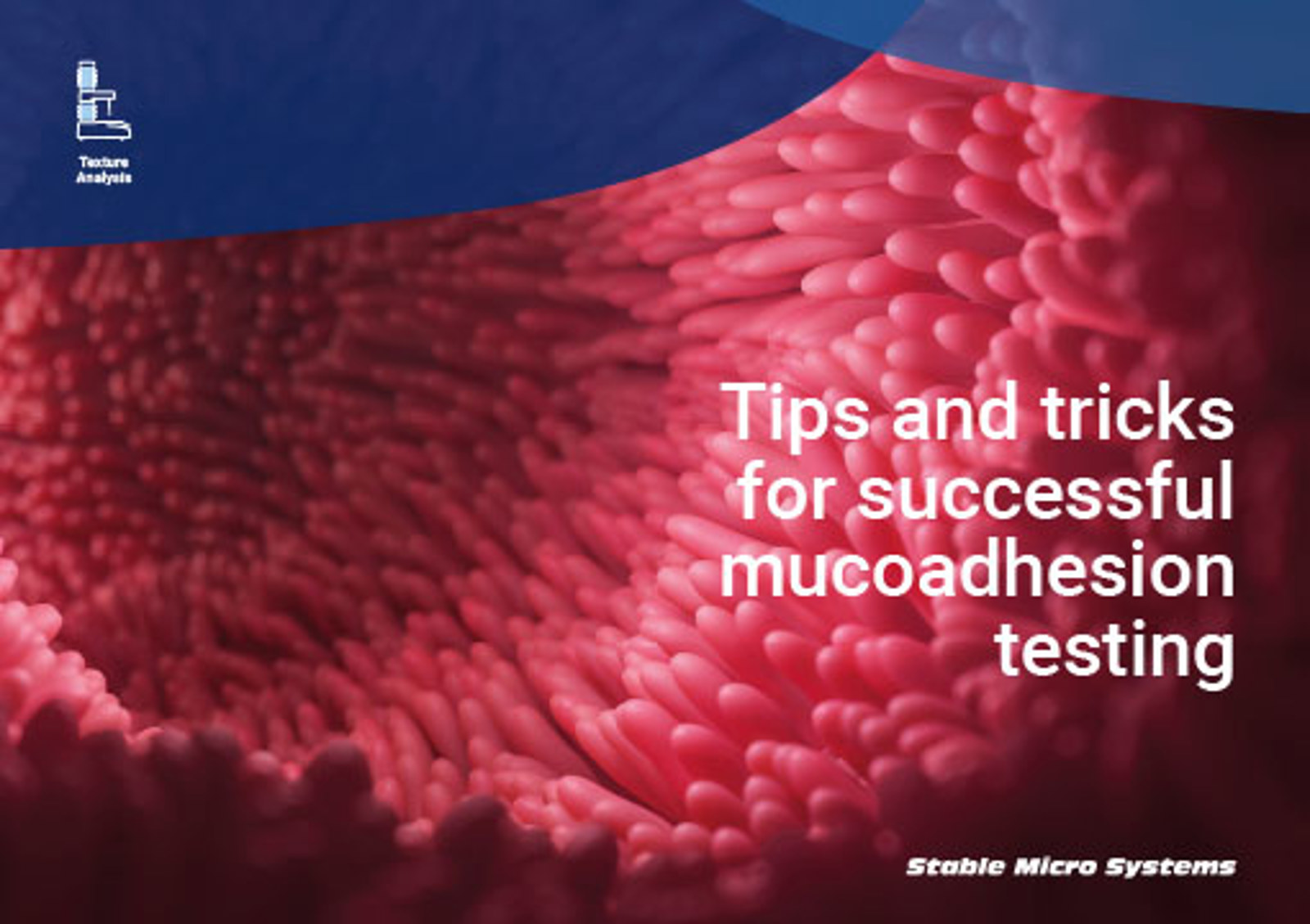 Tips and tricks for successful mucoadhesion testing article