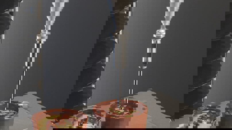 P/2 2mm Cylinder Probe 3