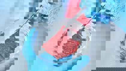 Cultured meat and seafood – why texture analysis is crucial for success