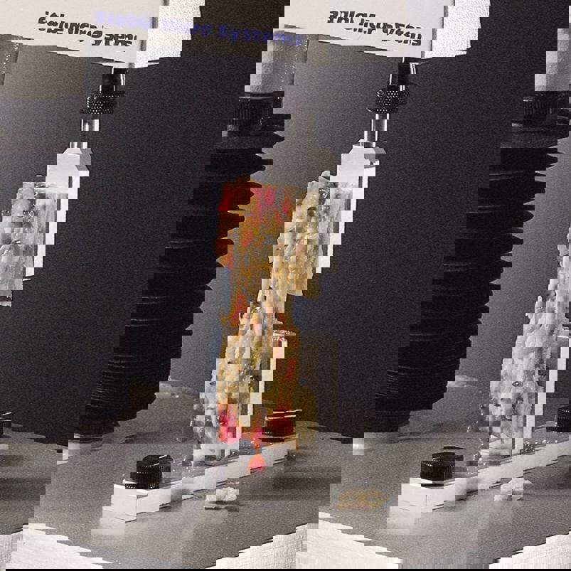 A/PT Pizza Tensile Rig