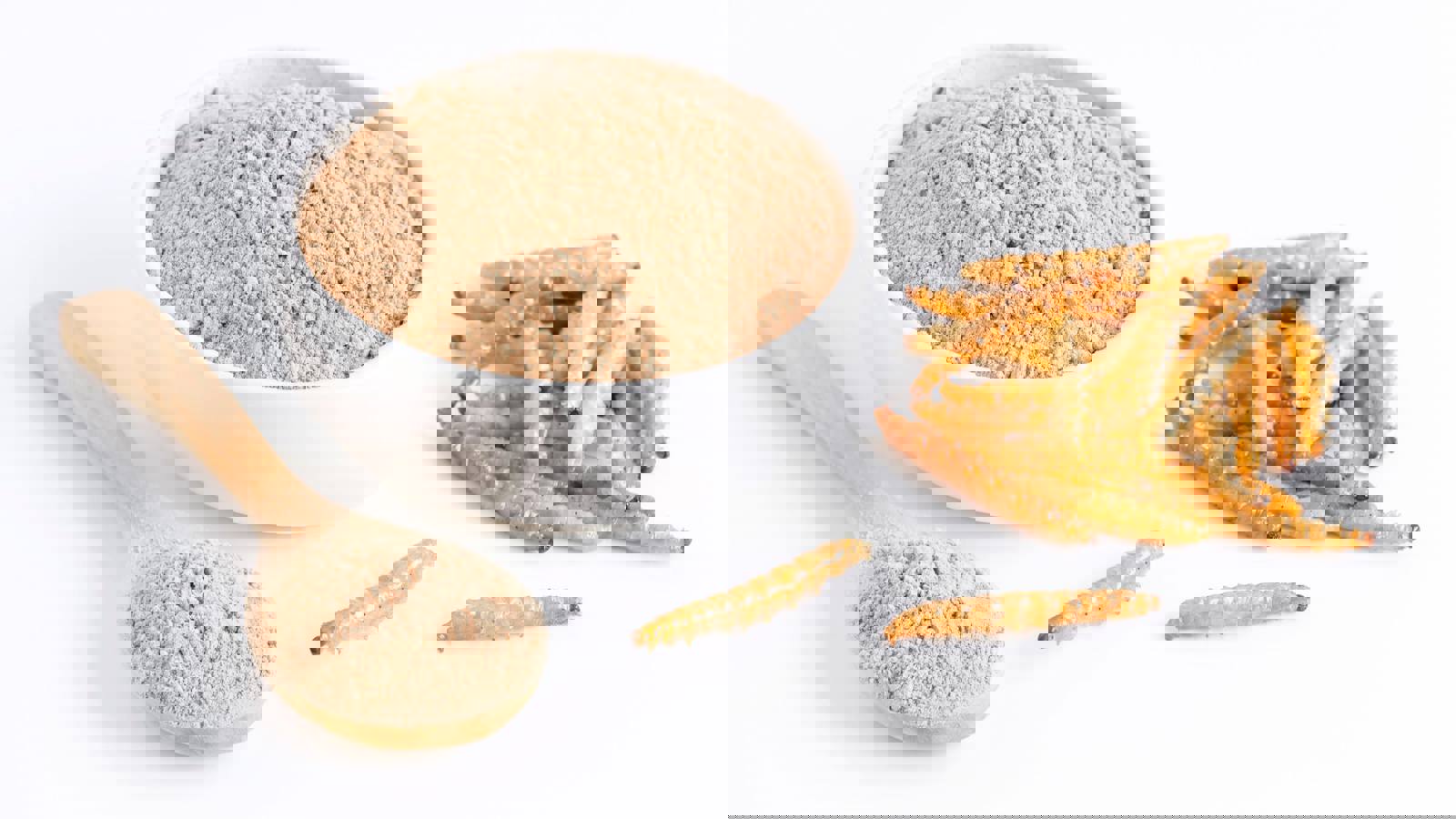 Insect powder in bowl and spoon