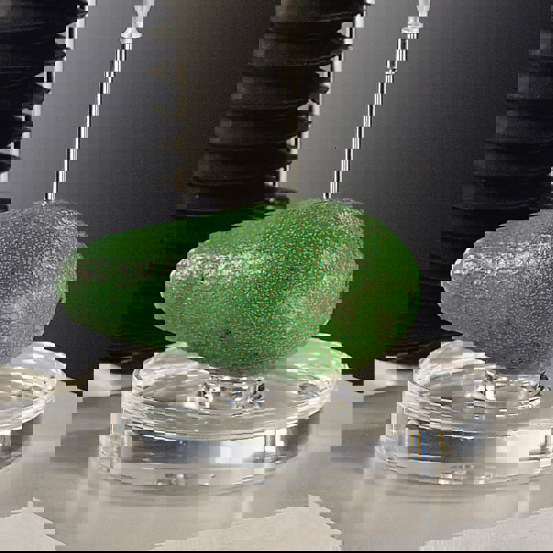 A/CS Circular Sample Support